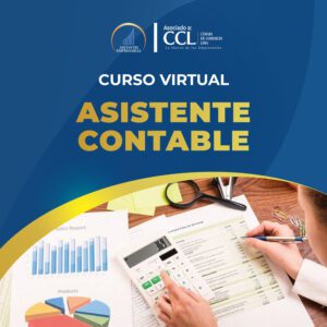 ASISTENTE-CONTABLE